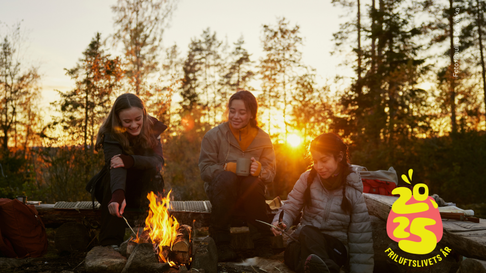 Lenkje til artikkel: Hele Norge båler laurdag 18. januar 2025