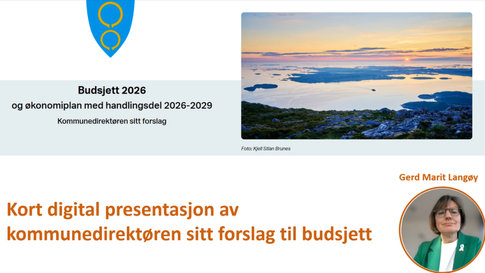 Lenkje til artikkel: Budsjett 2026 og økonomiplan 2026-2029