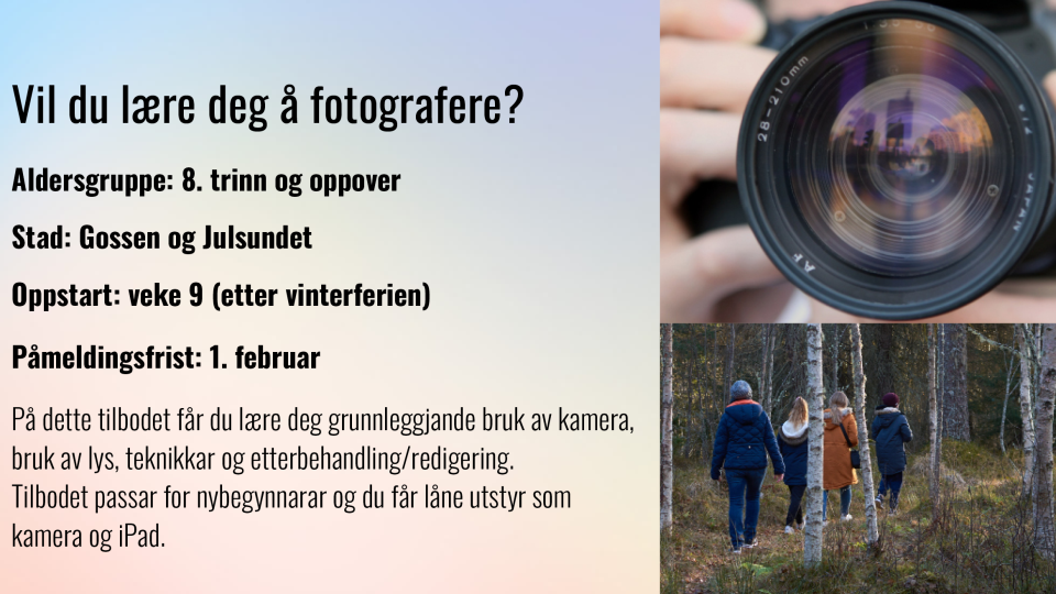 Lenkje til artikkel: Vil du lære deg å fotografere?
