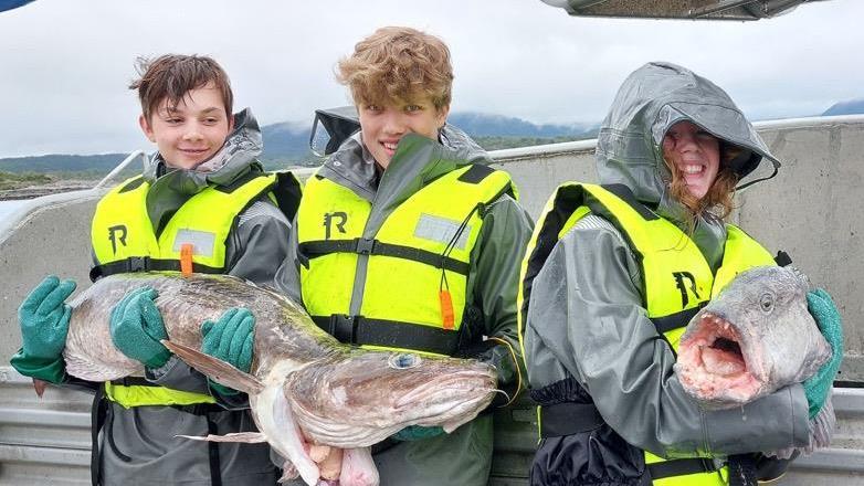 Lenkje til artikkel: Utlysing av sommarjobb som fiskar gjennom Ungdomsfiske 2026
