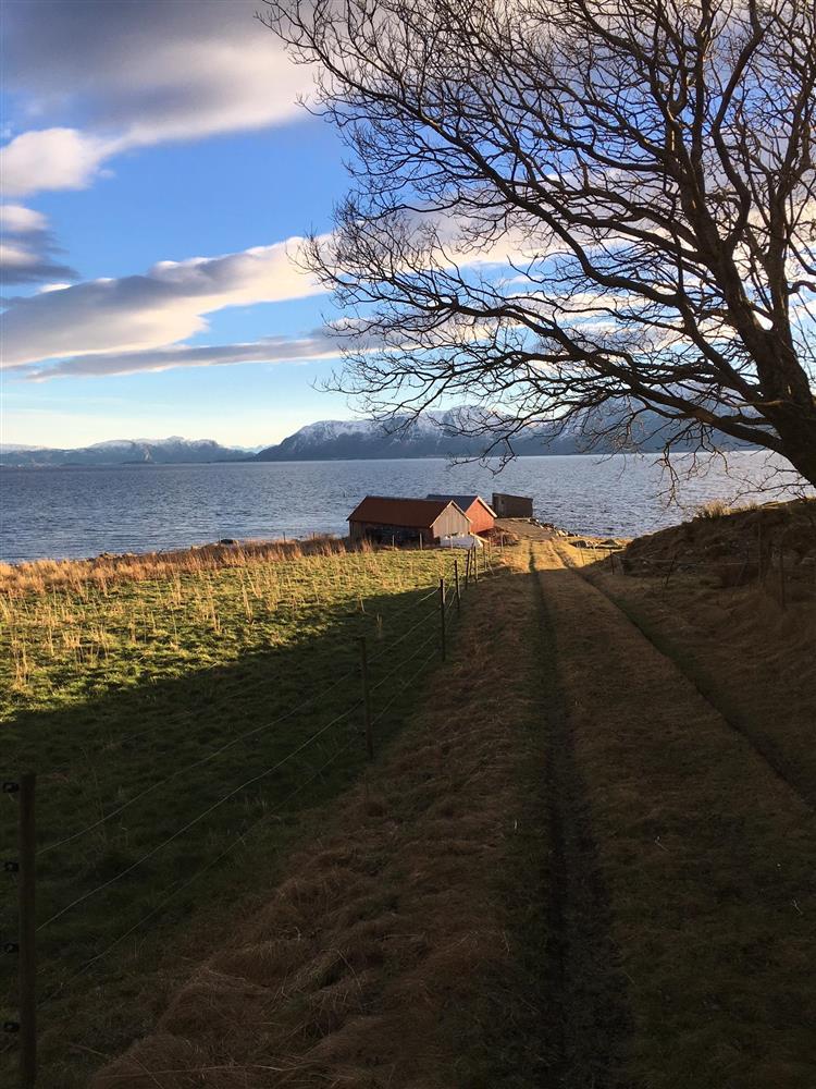 Bilde frå Orta - Klikk for stort bilete