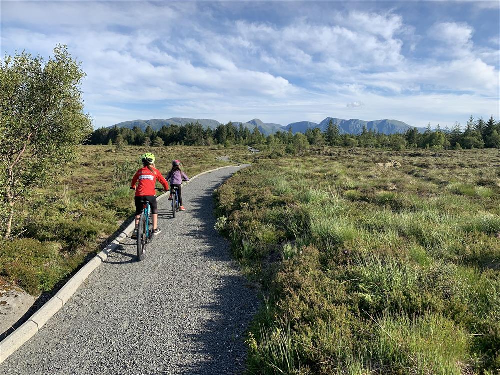 Riksfjordremma - Klikk for stort bilete