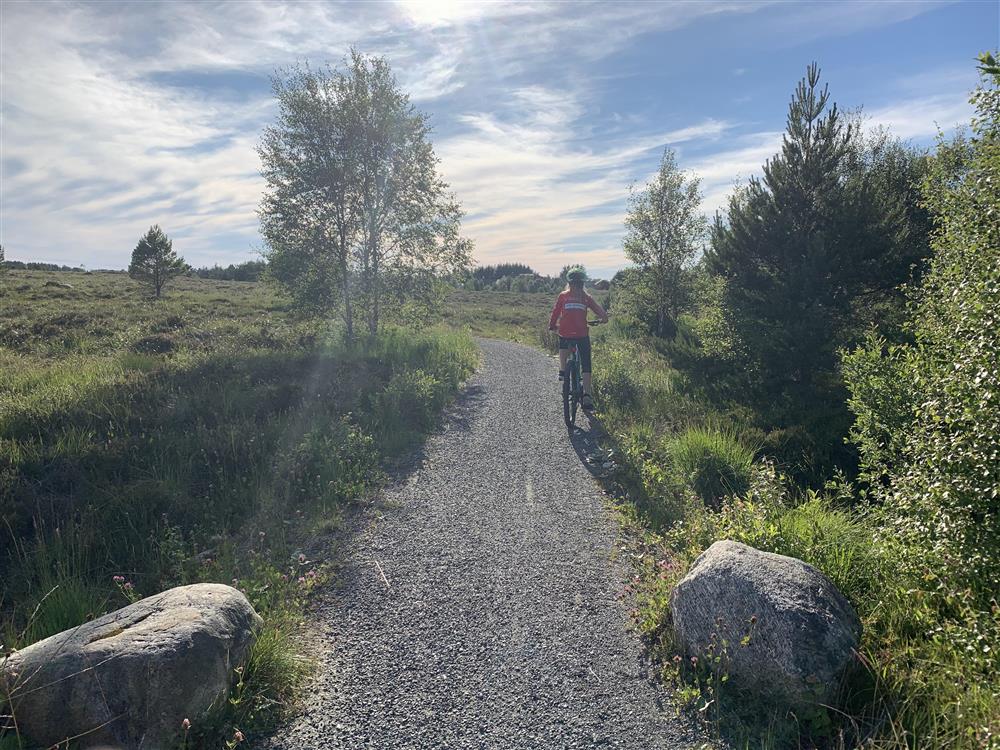 Riksfjordremma - Klikk for stort bilete