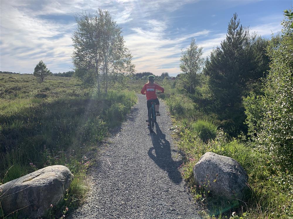 Riksfjordremma - Klikk for stort bilete