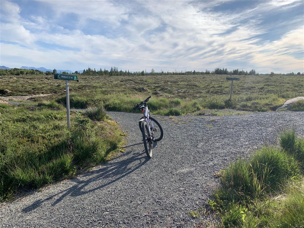 Riksfjordremma - Klikk for stort bilete
