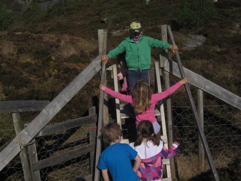 Tur til Brenslen fra Smågevatnet - Klikk for stort bilete