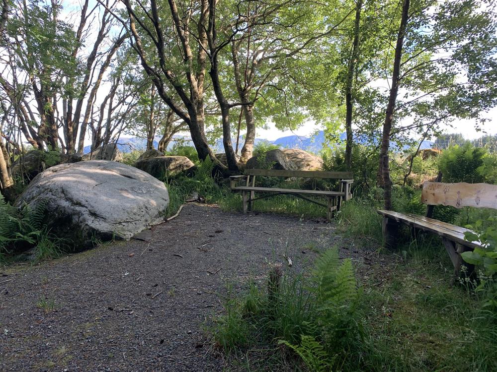 Riksfjordremma - Klikk for stort bilete